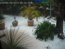 20091005 Hail Storm 06 of 52